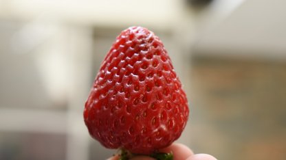 клубника