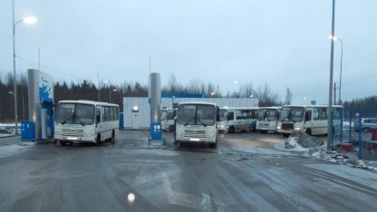 Автобусы
