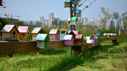 скворечники
