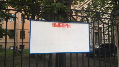 выборы