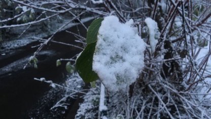 Снег