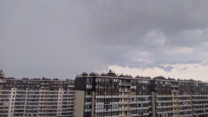 Дождь