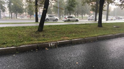 Град в Петербурге