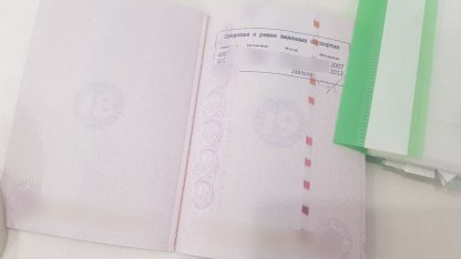 сведения о ранее выданных паспортах