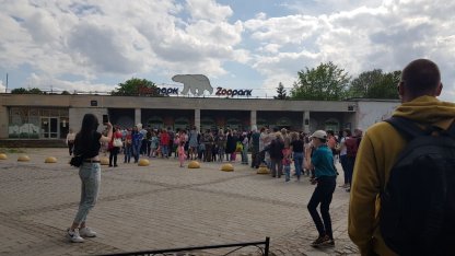 очереди в ленинградский зоопарк в день защиты детей