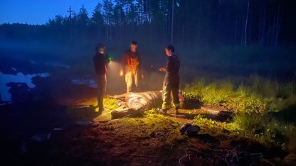конь бах застрял в болоте