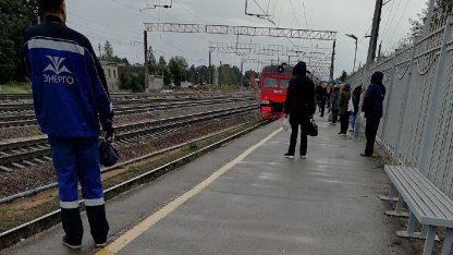 в вырице поезд сбил девушку 