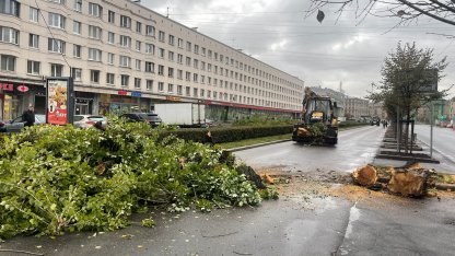 Деревопад
