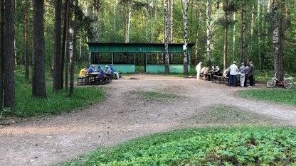 Сосновка