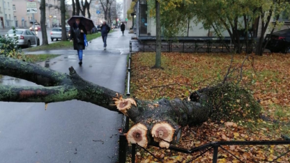 Последствия шторма в Петербурге