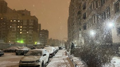 снегопад в Петербурге 