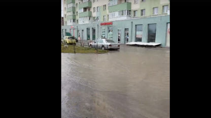 Шушары