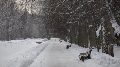 Петергоф