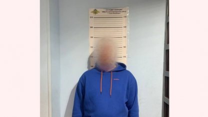 виновник смертельного дтп