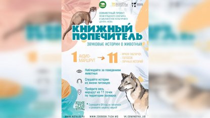 зоопарк