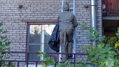 Снимали осиное гнездо с фасада дома