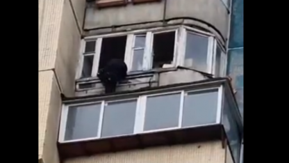 спасение с высоты