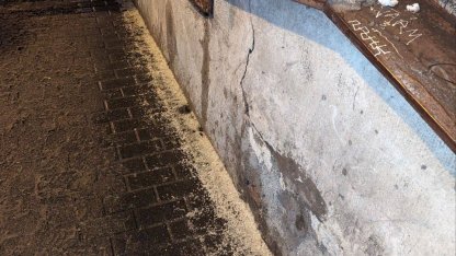 соль на петроградке