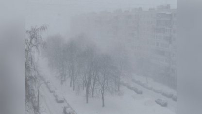 Первый в году снегопад