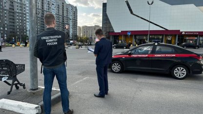 стрельба у тц