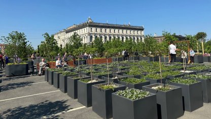 Сад-транформер