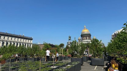 Сад-транформер