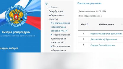 Голосование за главу города