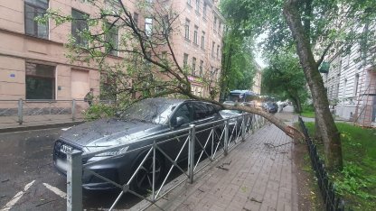 Дерево упало на машину