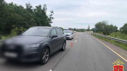 Задавили девочку