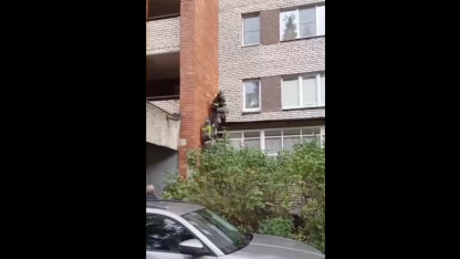 Спасение кота