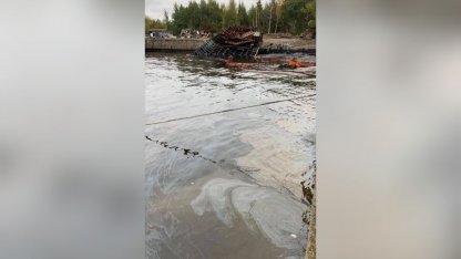 загрязнение в Финском заливе