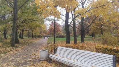 Погода в Петербурге