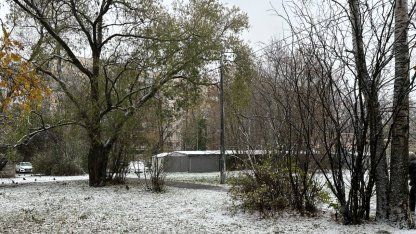 Наледь 