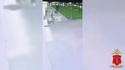 нападение питбуля