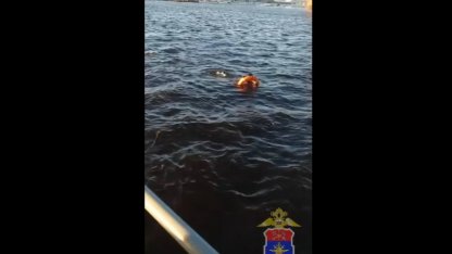 Мужчина в морском канале