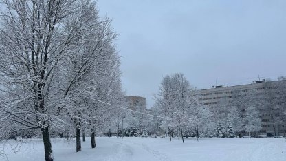 снег
