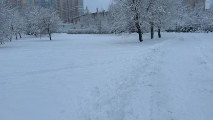 снег