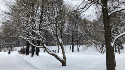 Проект парка