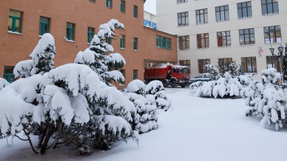 Снег Горный университет