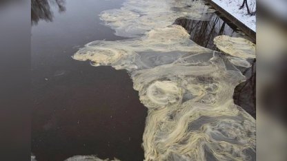снежура