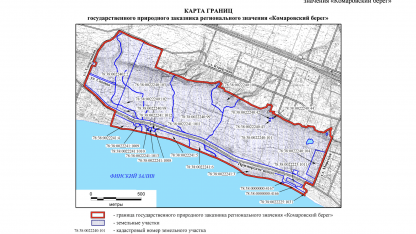 Комаровский берег