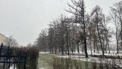 Снег