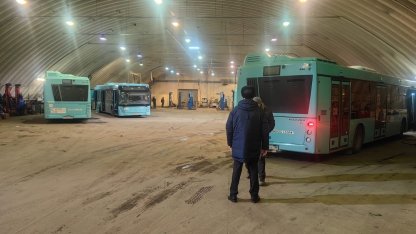 автобусы