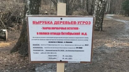 вырубка
