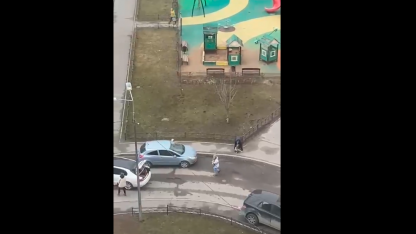 Нападение собаки