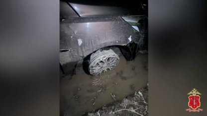 авто