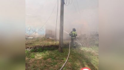 В Кировске тушили ангар в парке