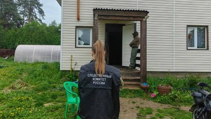 СК по Ленобласти