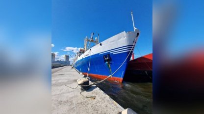 загрязнение в Финском заливе