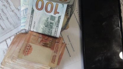краденое